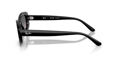 Ray-Ban Sunglasses 0RB2221F 901/M355 - Black