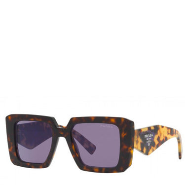Prada 23ys Tortoise