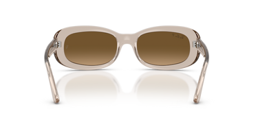 Ray-Ban Sunglasses 0RB2221F 6827M255 - Transparent beige