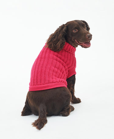 Barbour Saltburn Dog Jumper Pink Dahlia